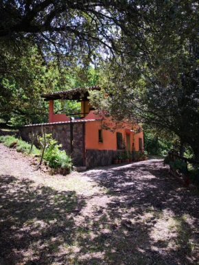 Villa Mancosu Oliena